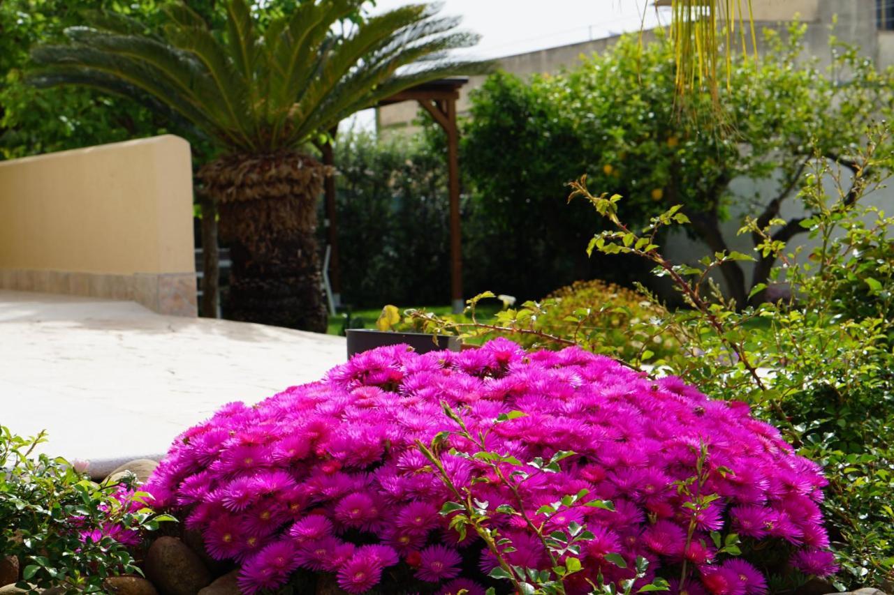 B&B Milena Paceco Extérieur photo